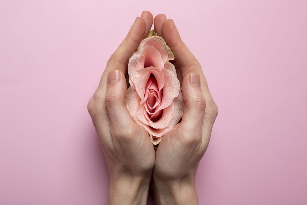 vulva fillers
