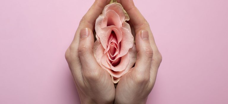 vulva fillers