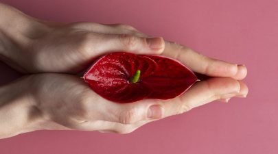 labia filler cost
